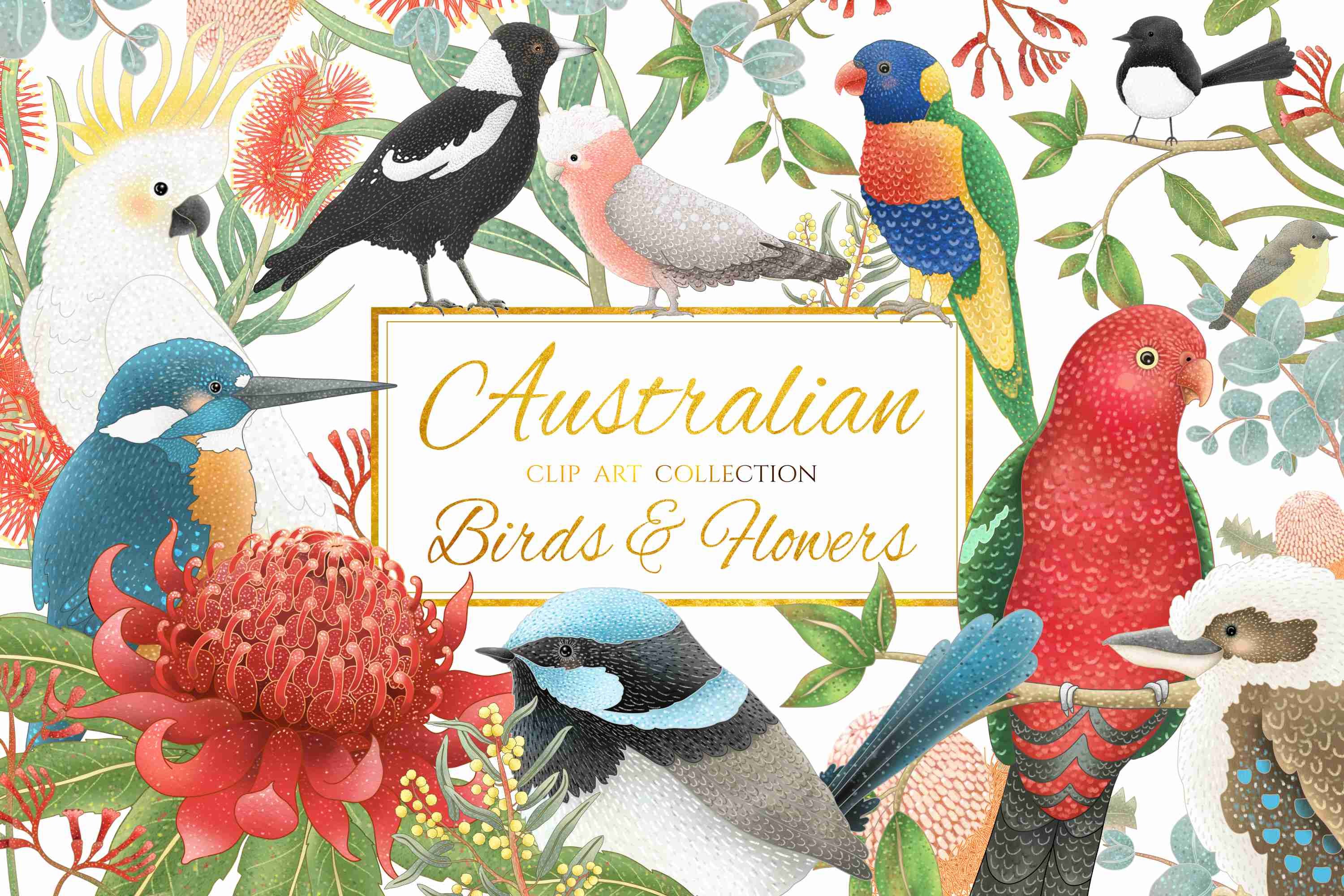 104,500+ Australia Illustrations, Royalty-Free Vector Graphics 