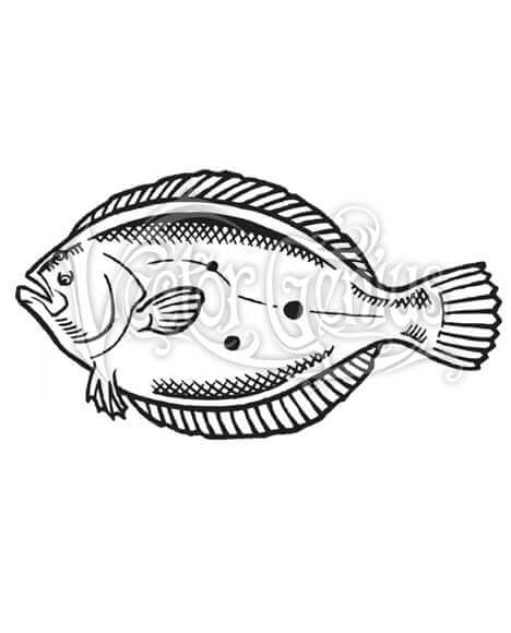 Hei, Flounder Character Illustration Clip Art Stock Photo, Picture 
