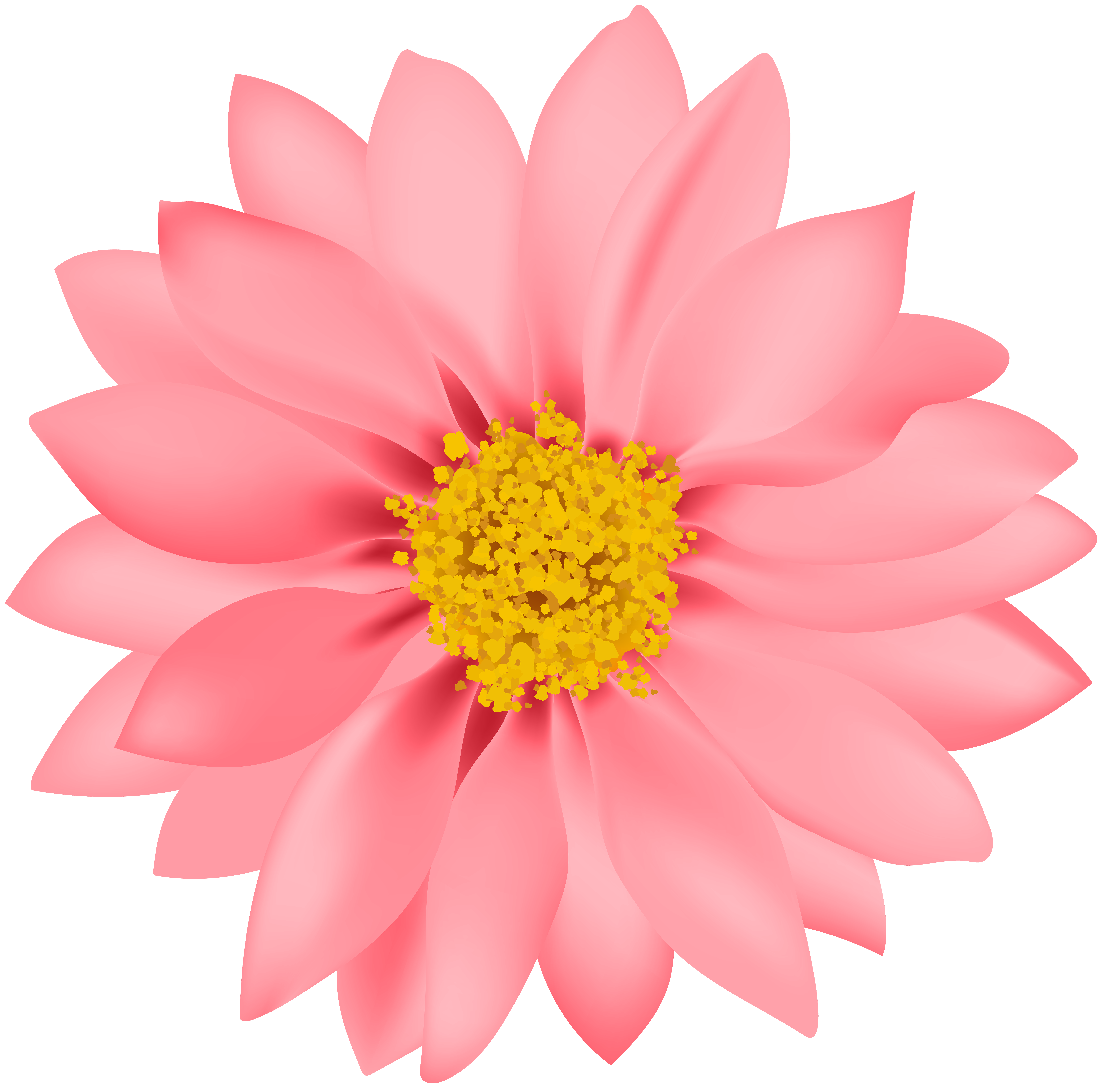 22 Flower Clipart Black and White! - The Graphics Fairy