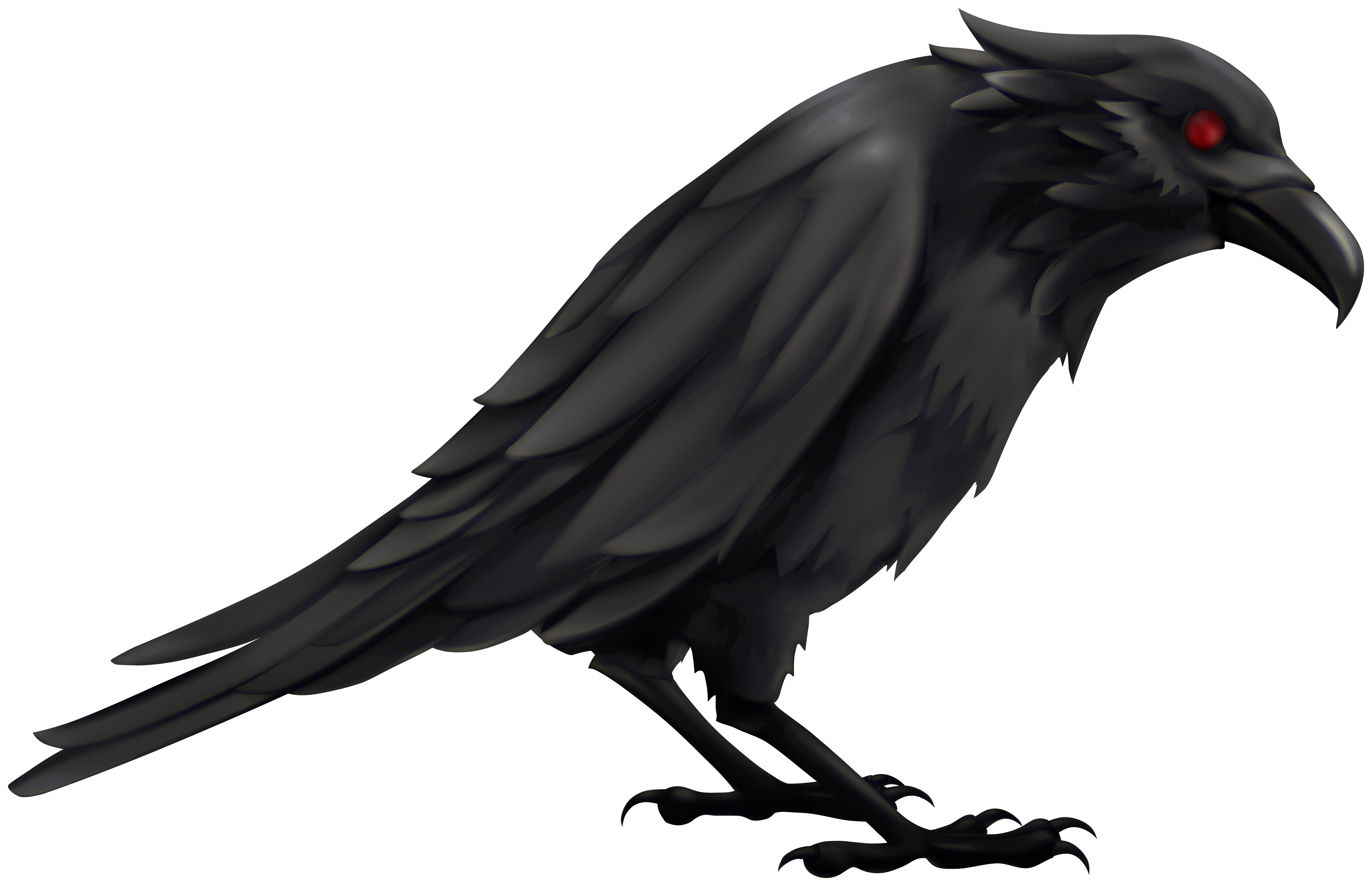 Raven Clipart Images – Browse 2,335 Stock Photos, Vectors, and 