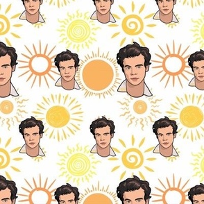 Harry Styles Stock Illustrations – 72 Harry Styles Stock 