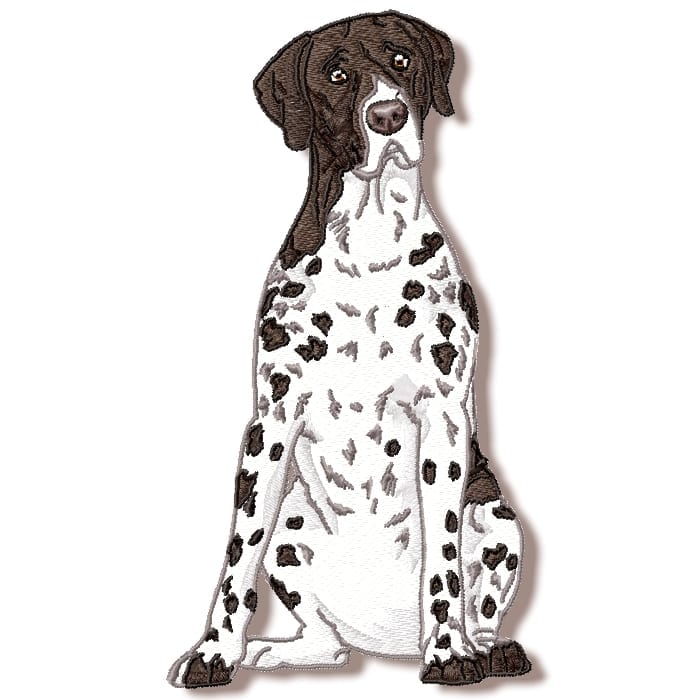 German Shorthaired Pointer Pointer, Pedigree, Male, Canine PNG - Clip ...