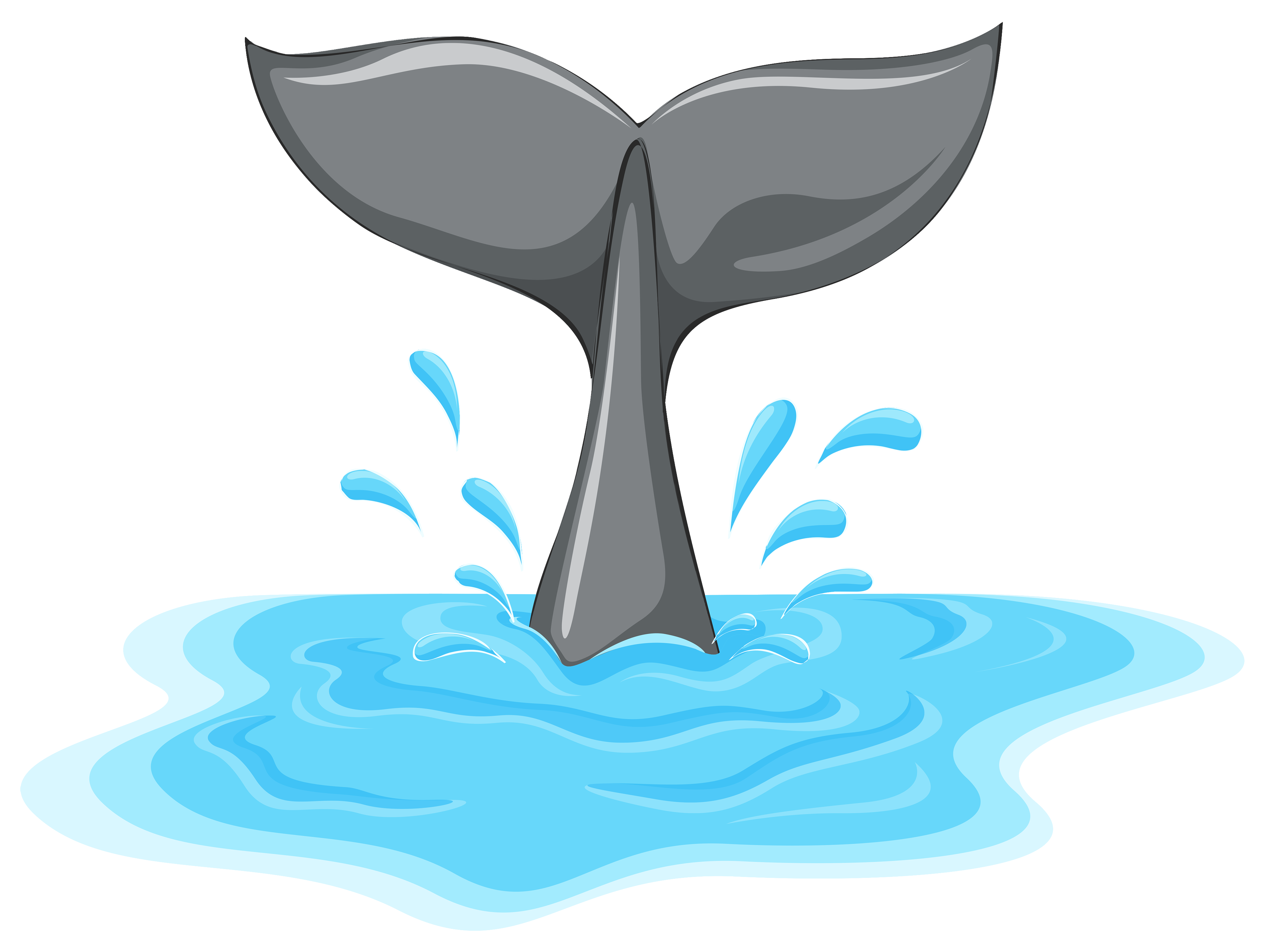 33 Awesome whale tail clipart | Whale tail, Clip art, Whale
