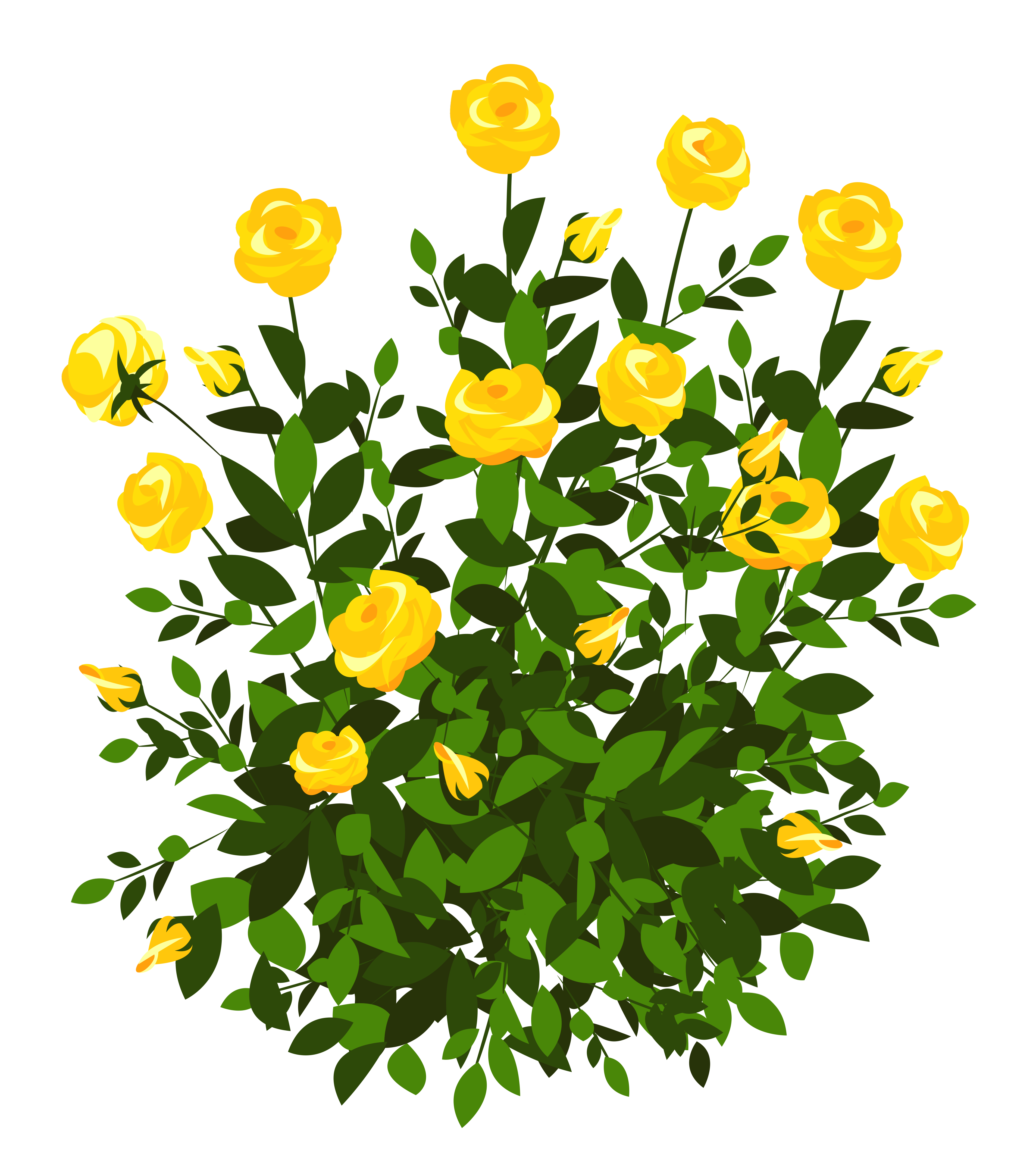 rose bush clipart
