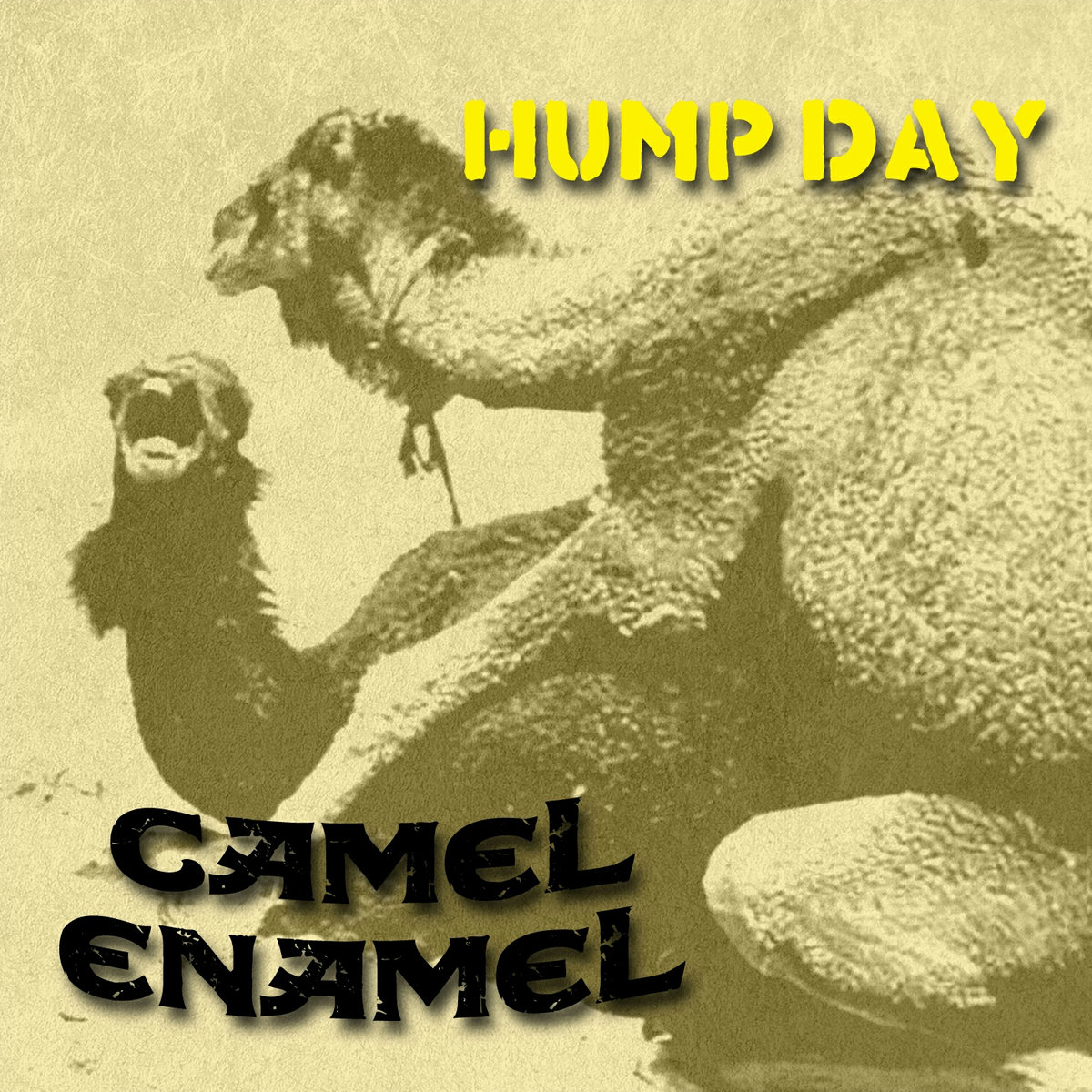 Hump Day Poster designs, themes, templates and downloadable - Clip Art  Library