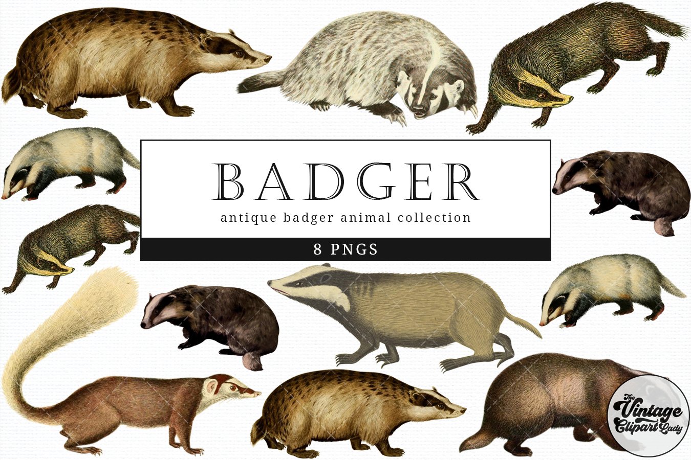 badger clipart