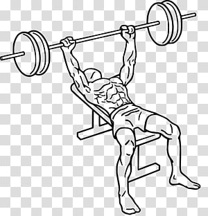 bench press clipart
