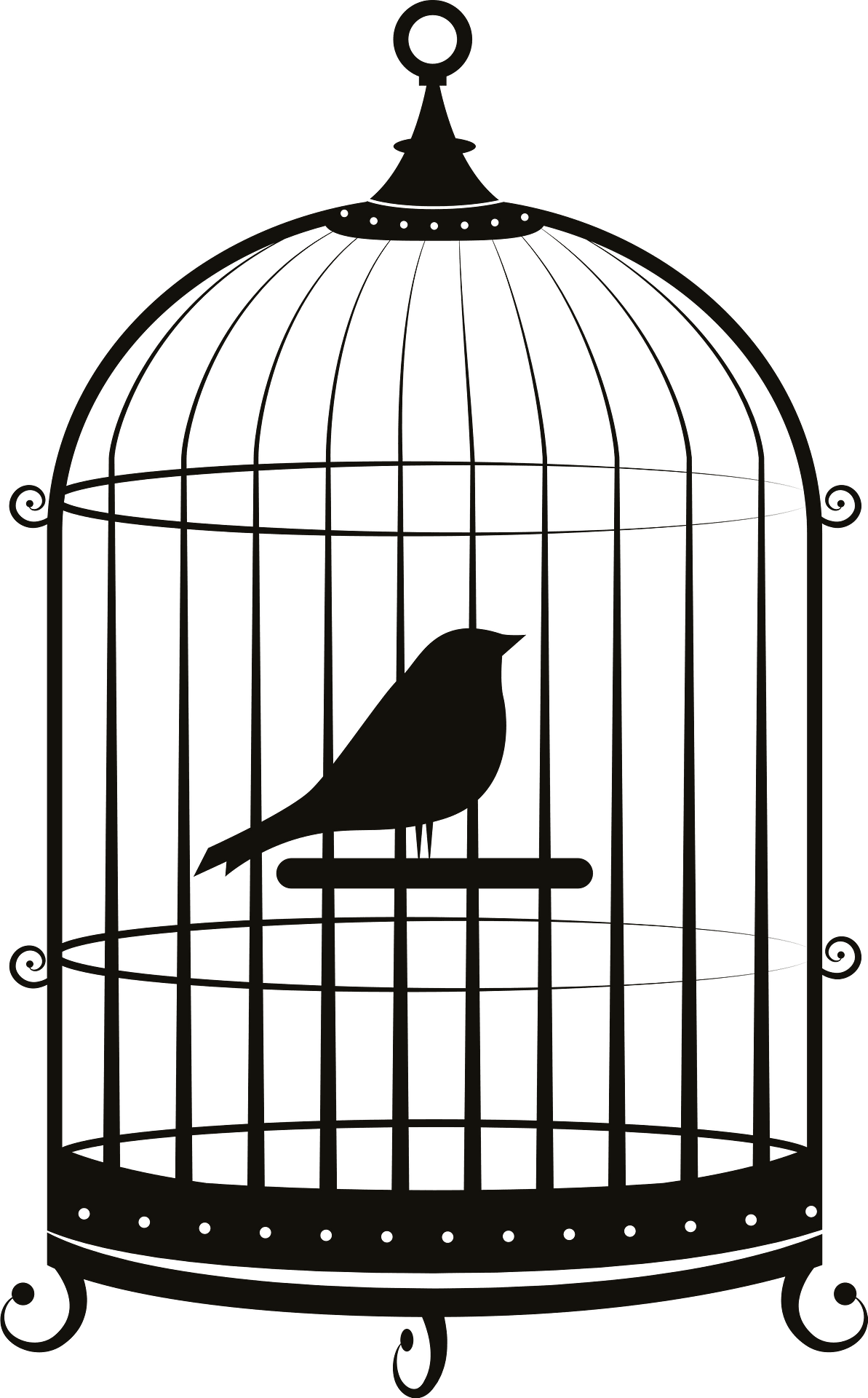 Free bird cage clipart, Download Free bird cage clipart png images ...