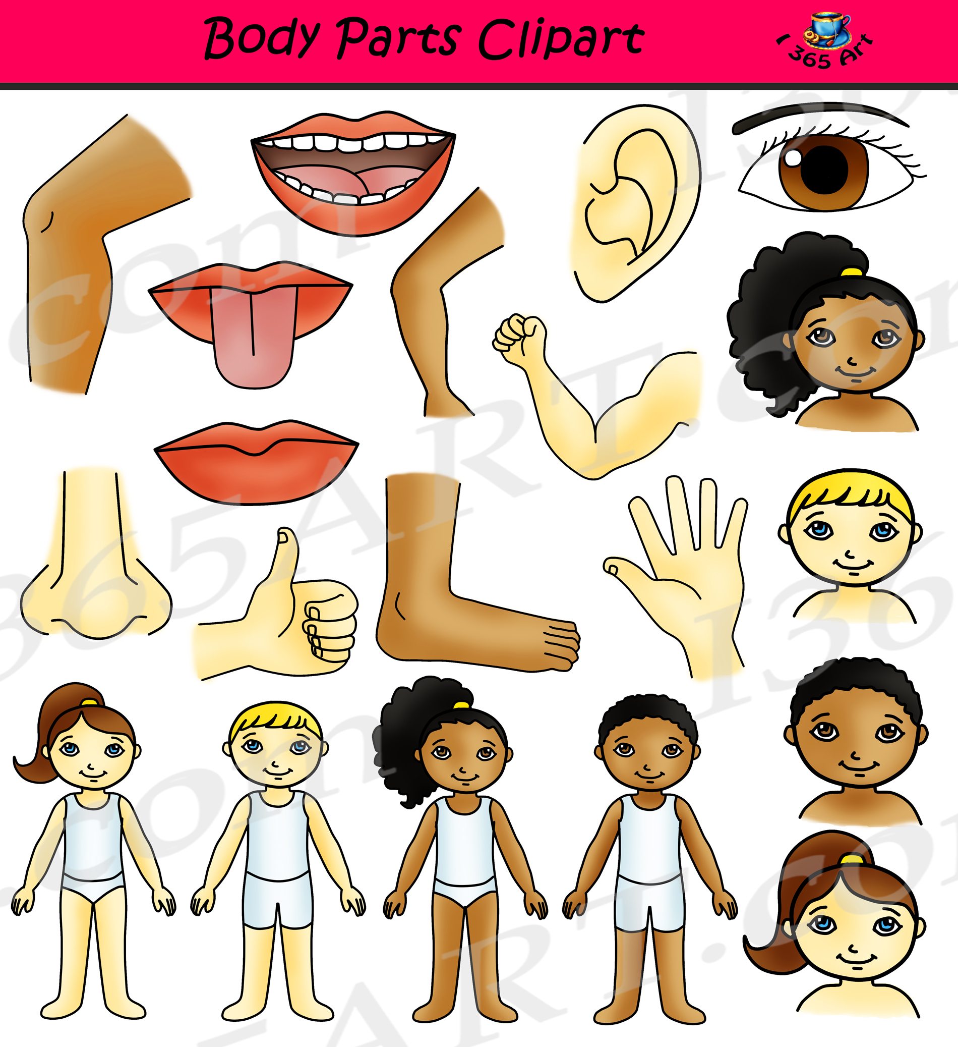Human Body Parts PNG, Vector, PSD, and Clipart With Transparent - Clip Art  Library