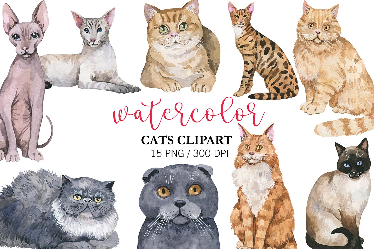 Printable Kawaii Cat Kitten Kitty Doodles, Cute clipart, Kitty icons, Pet  illustration, stickers, Planner supplies