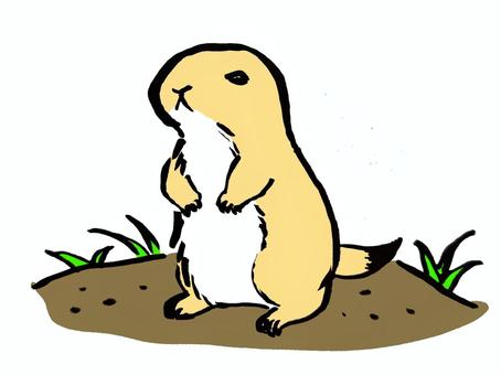 prairie dog clipart