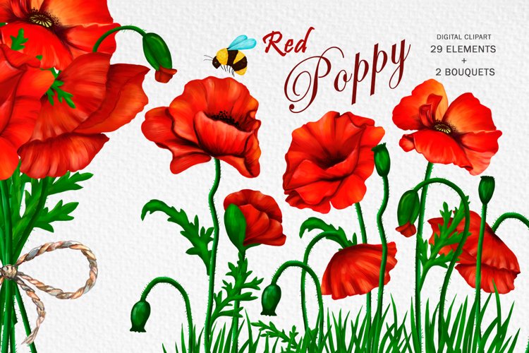 Watercolor Poppy Flower Clipart Red Floral Clipart. Hand Drawn - Etsy