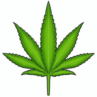 Flowerpot Weed Icon. Cannabis Symbol Silhouette. Vector Stock 
