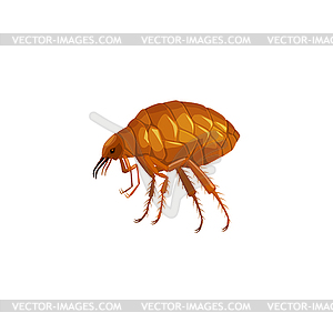 Free parasite Clipart | FreeImages