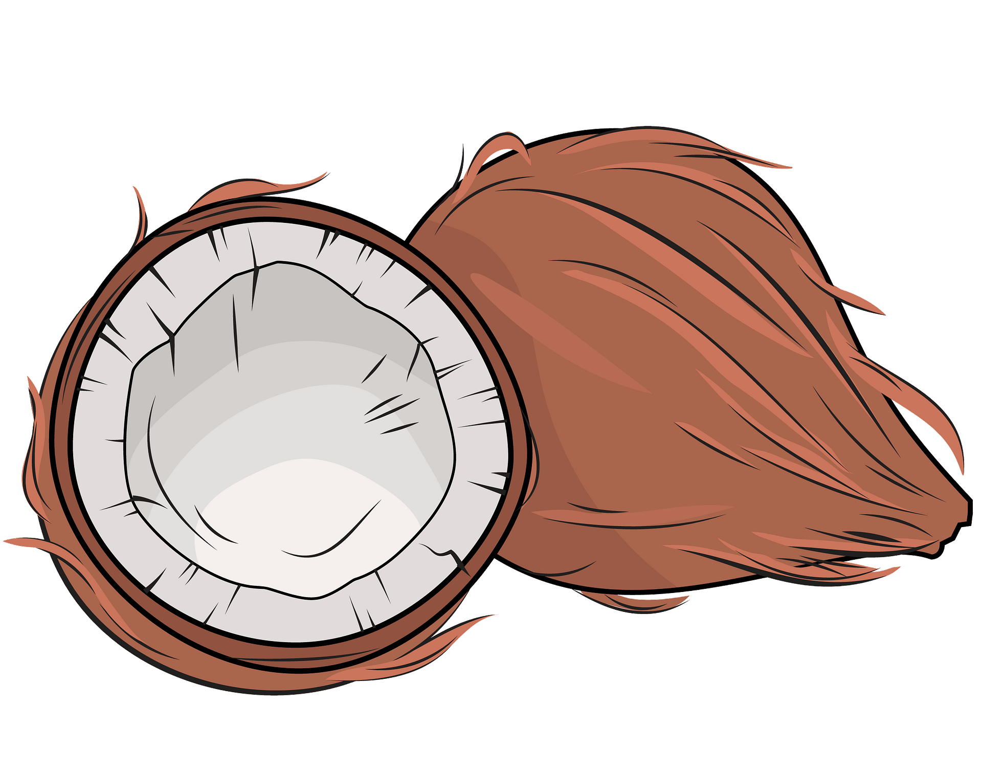 Premium Vector Coconut Flat Design Clip Art Vector Illustration 