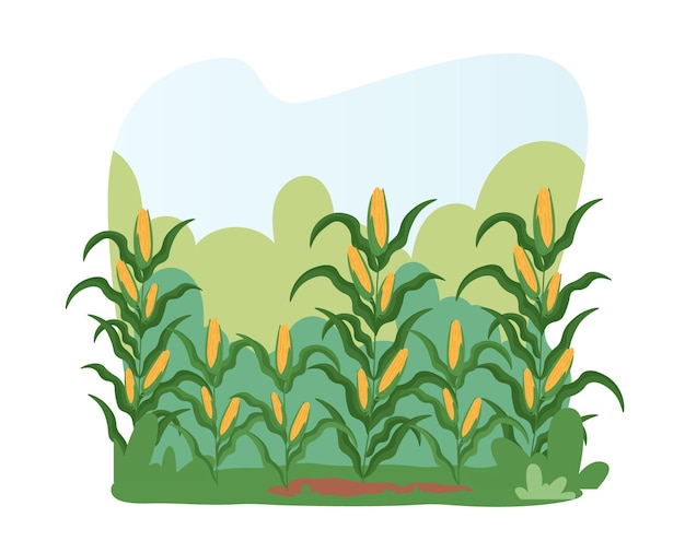 Rice Grains Clipart Transparent PNG Hd, Grain Rice Rice Ear Hand 