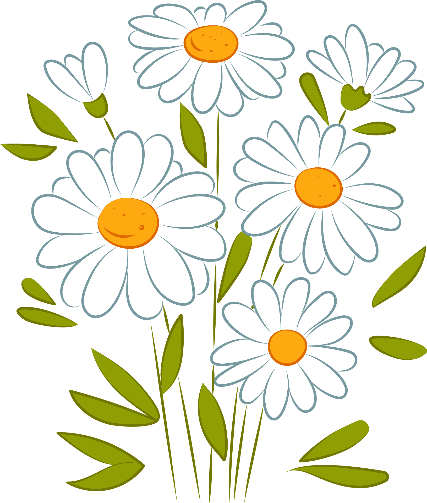 White Daisy Clipart 4037526 Clipart Library