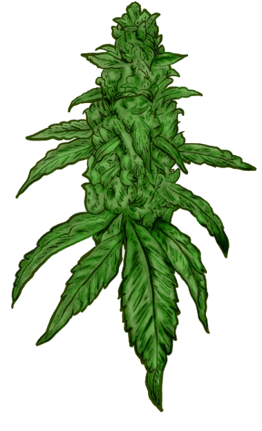 Marijuana clipart. Free download transparent .PNG | Creazilla - Clip ...