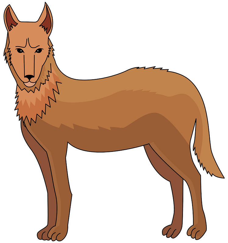 Dingo PNG Transparent Images Free Download | Vector Files | Pngtree ...