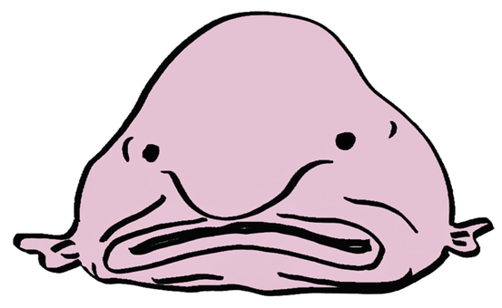 Blobfish Nyudoukadica Deep Sea Fish Character Vector Illustration 