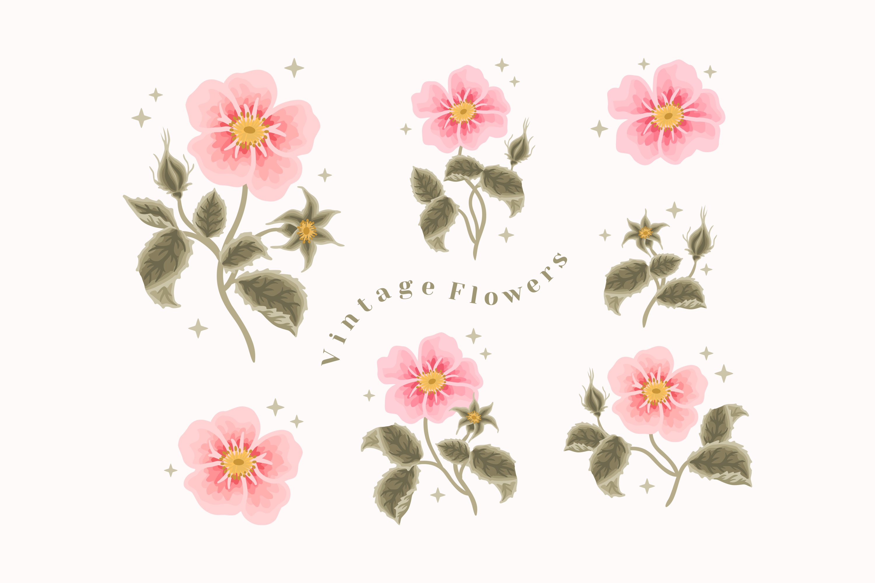 Floral Watercolor Clipart Png Elegant Flower Aesthetic Wedding Etsy