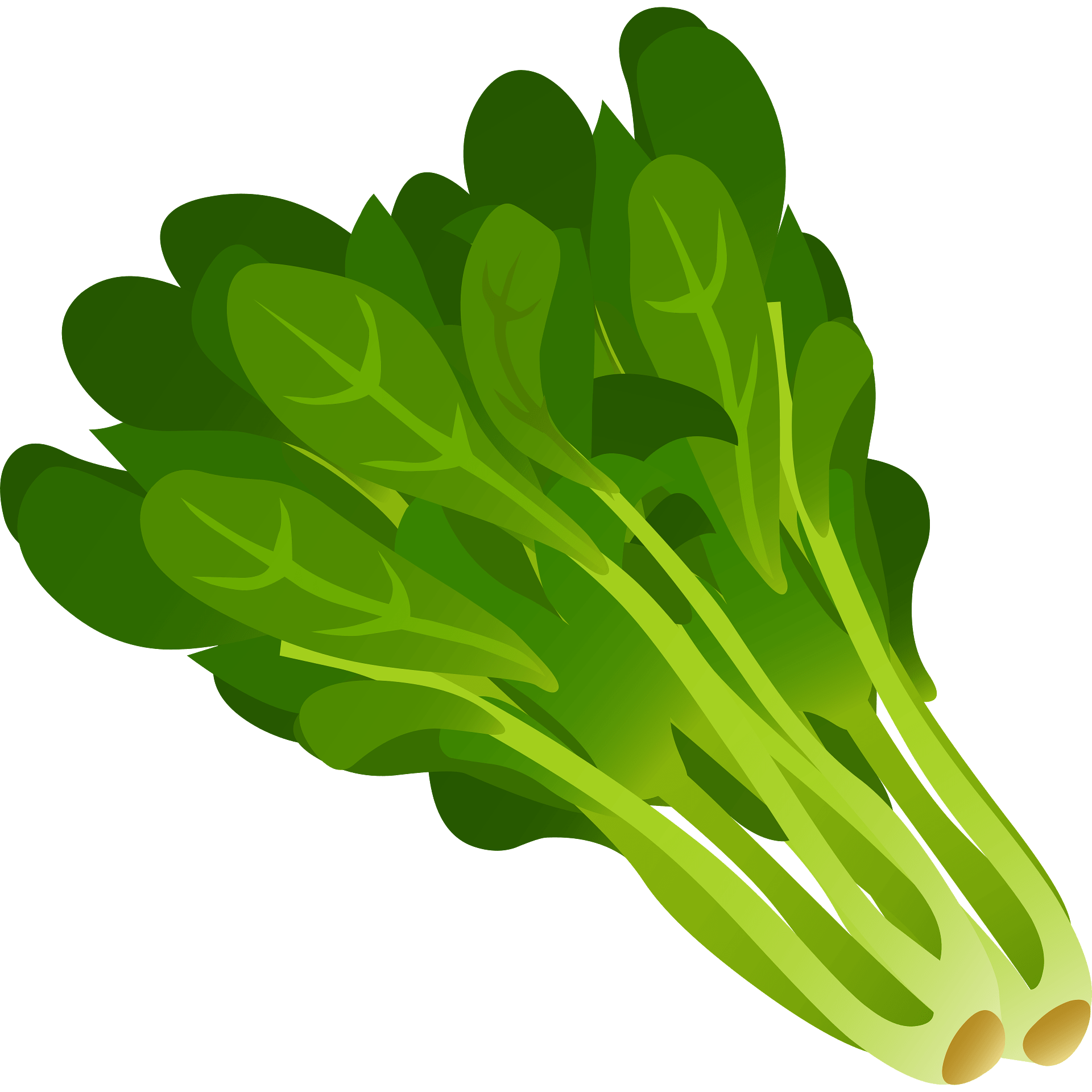 Spinach Clipart PNG Images, A Green Organic Spinach Clipart - Clip Art ...