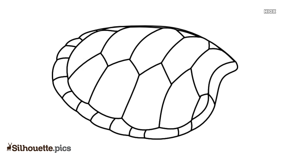 Free Turtle Shell Clipart, Download Free Turtle Shell Clipart Png 