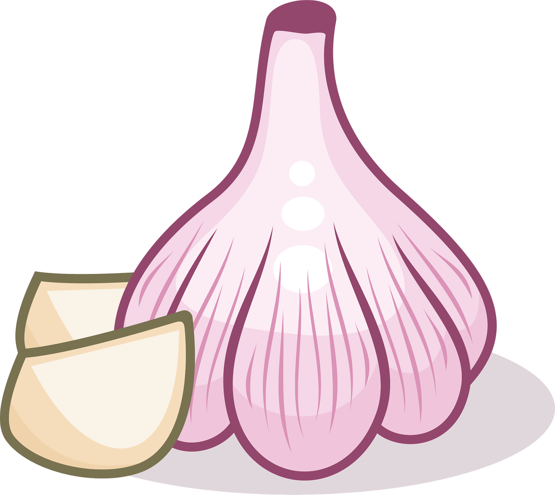 Garlic PNG Images | Free Photos, PNG Stickers, Wallpapers - Clip Art ...