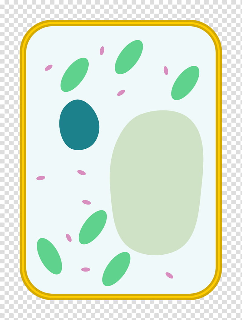 Royalty Free Plant Cell Structure Clip Art Vector Ima - vrogue.co