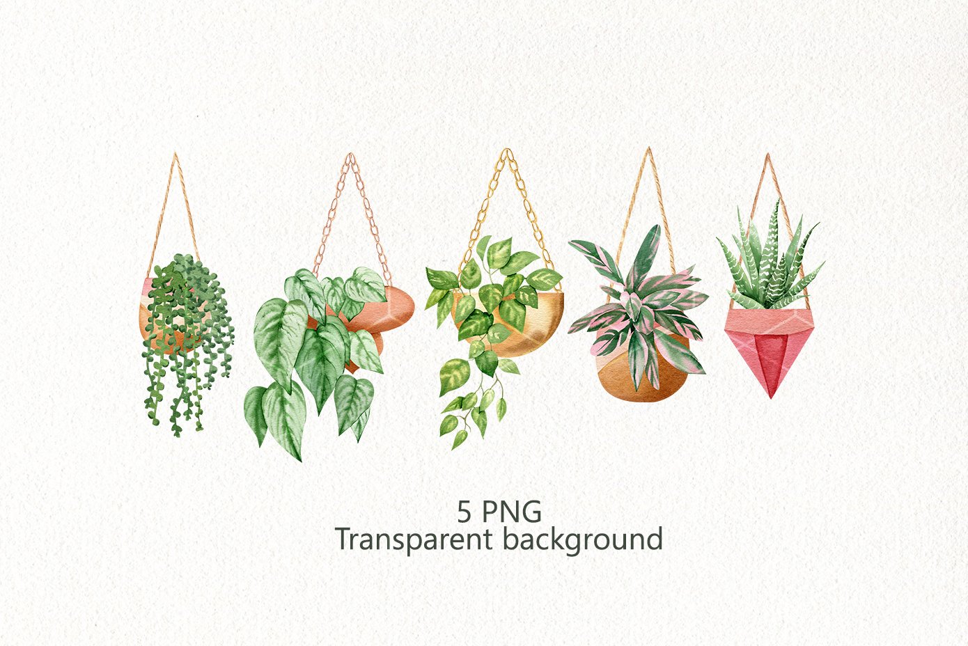 beautiful Plant in hanging pot icon over white background 