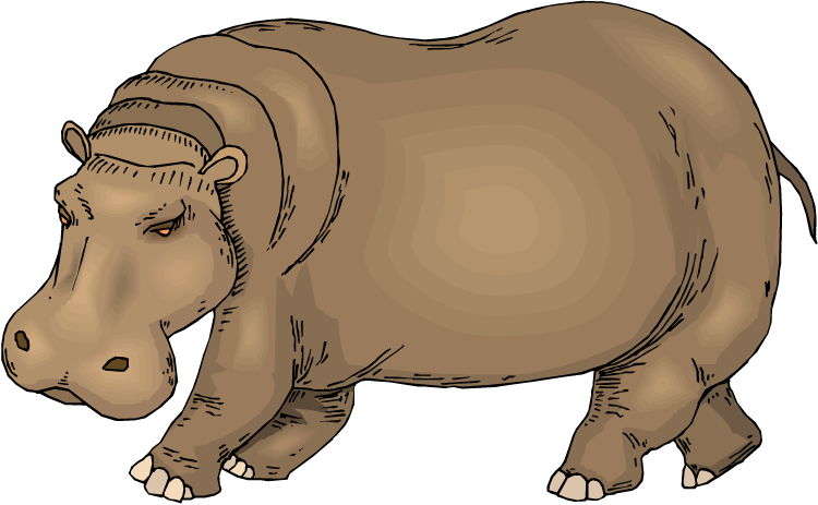 hippo clipart