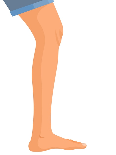 Leg icon. Simple outline style. Human foot, ankle, medical, organs