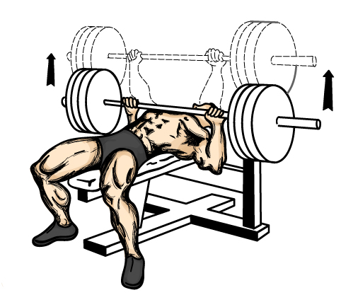 bench press clipart