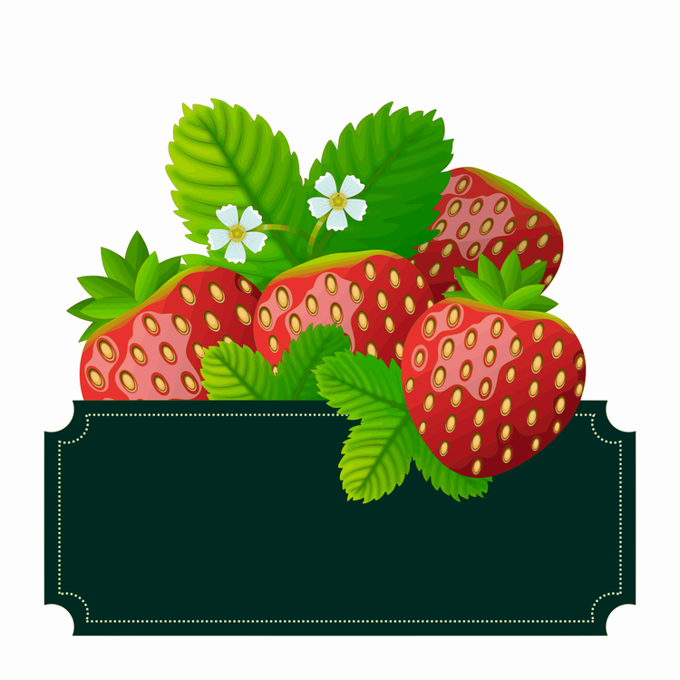 Strawberry plants in the farm 302113 Vector Art at Vecteezy