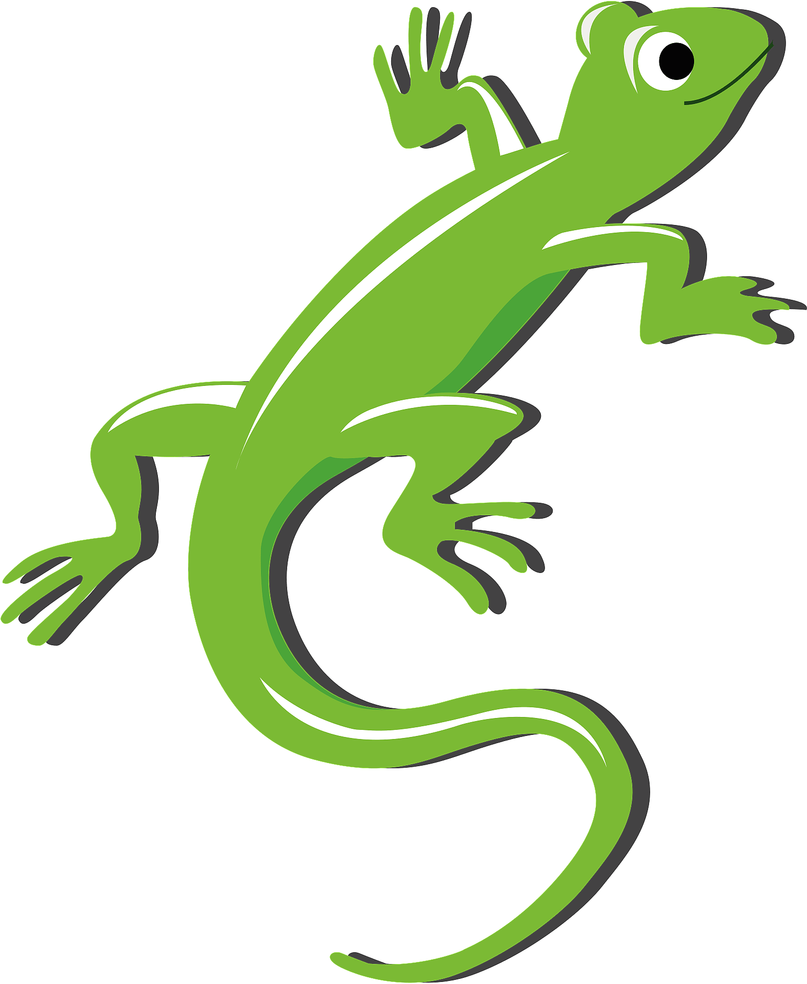 Free Lizard Clipart Download Free Lizard Clipart Png Images Free Cliparts On Clipart Library