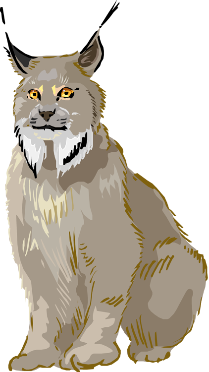 Watercolor Cute Kawaii Lynx Clipart Graphic by Hamees Store 