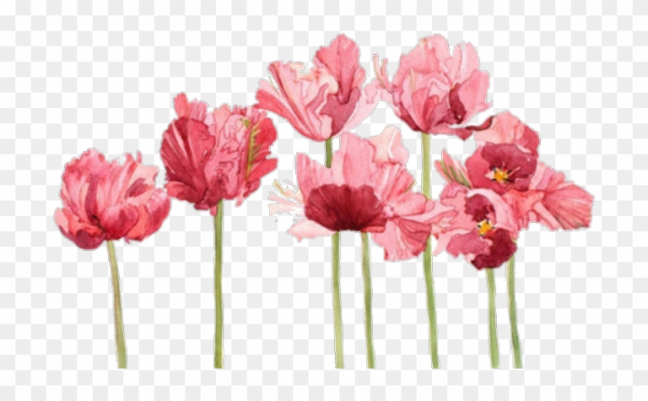 aesthetic flower clipart