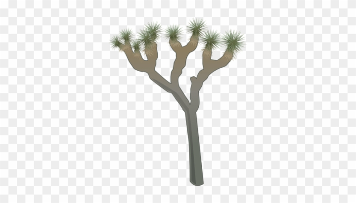 Premium Vector | Joshua tree arizona desert adventure landscape 