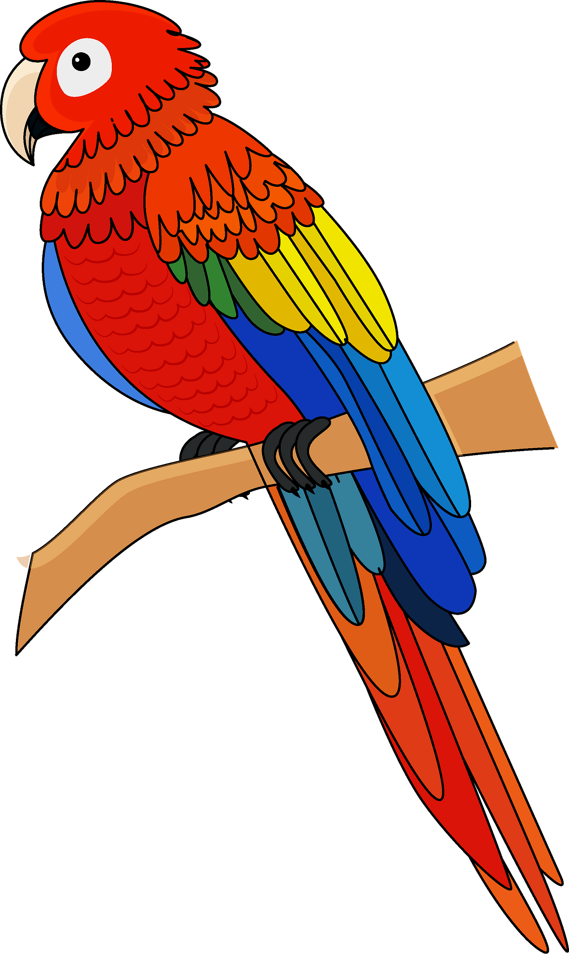 7,100+ Macaw Illustrations, Royalty-Free Vector Graphics & Clip - Clip ...