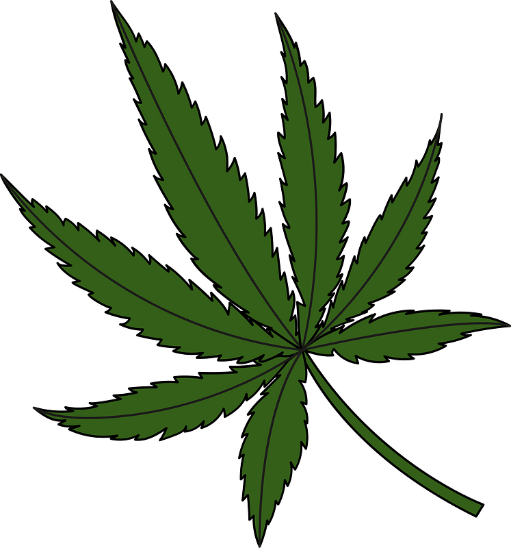 Cannabis Leaf clip art (115297) Free SVG Download / 4 Vector - Clip Art ...