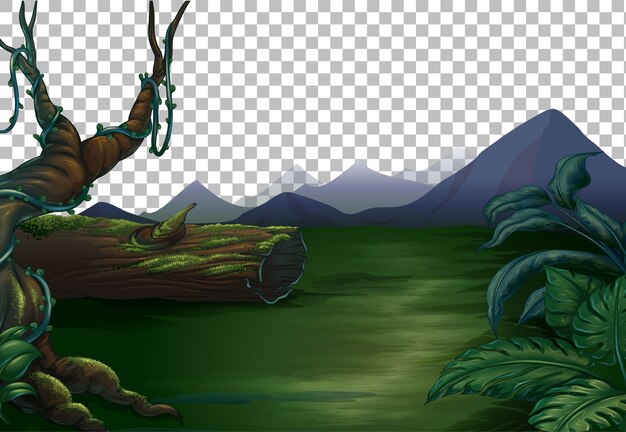 forest clipart