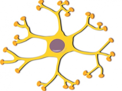 6,474 Sensory Neuron Images, Stock Photos, 3D objects, &amp; Vectors 