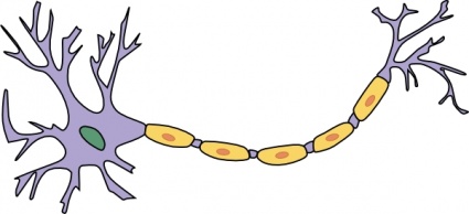 Free Vectors | Neuron