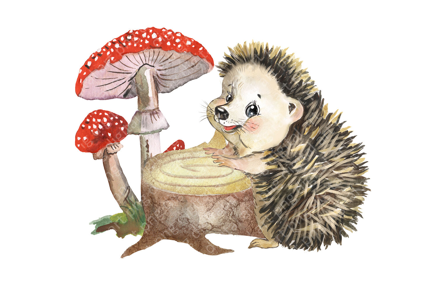 hedgehog clipart