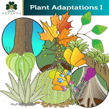Chameleon clipart. Free download transparent .PNG | Creazilla