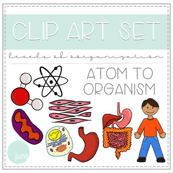 organization clipart