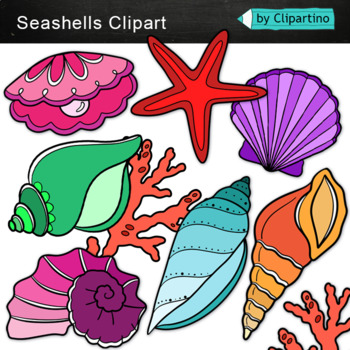 seashells clipart