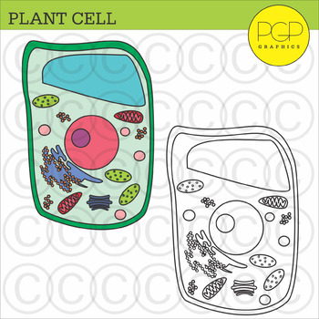 Plant and Animal Cell organelles and tissues clipart {Science clip ...