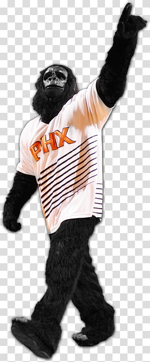 phoenix suns clipart