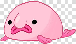Blobfish Cartoon png download - 712*465 - Free Transparent 